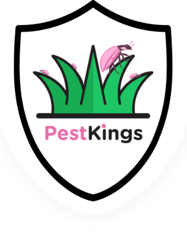 Pest Kings